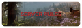 Serverrules.png